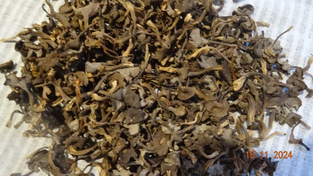 Écorces De Lakota - 100g - Fertilité, Kystes, Fibromes, SOPK - Naturelles