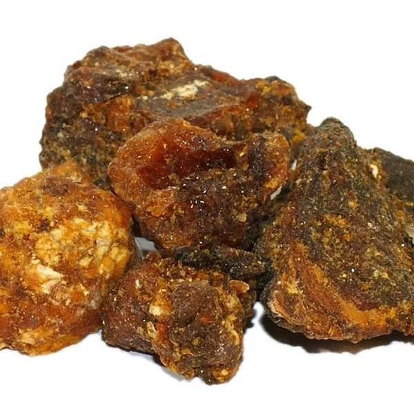 Opoponax Opopanac Gum Myrrh Bold Size Resin Incense opobalsam Commiphora Myrrha 3
