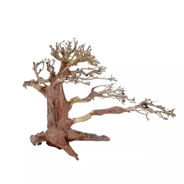 L Bonsai Árbol Nr.11369 Raíz De Madera Acuario Decoración Aquascaping Natural 3