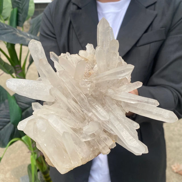 3.1lb Large Natural Clear White Quartz Crystal Cluster Rough Healing Specimen 2