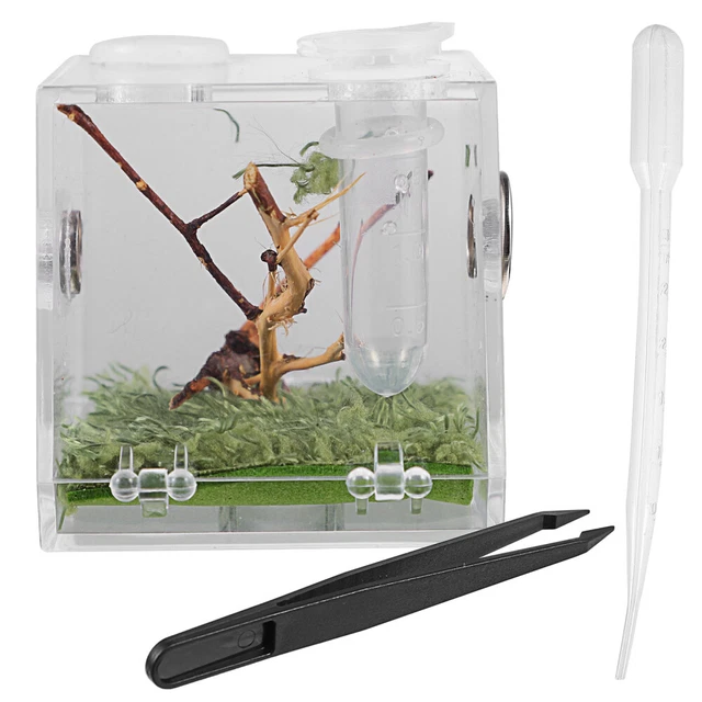 Mako Moulage Baker Ross Lamas Webe Kit De Bricolage Lot De 6 Bricolage Po Couture Enfant