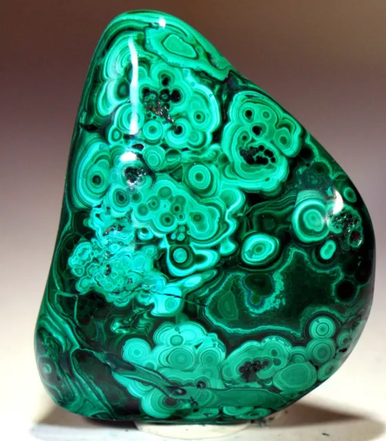 2.85" 4.83 oz Top Quality Polished Bull's Eye Malachite, Congo! M699