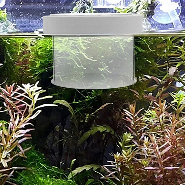 Sala Parto Acquario 1,5L Per Pesci Rossi E Gamberetti - Scatola Incubatrice Trasparente - Foto 3