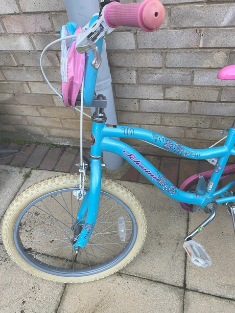 Schwinn top mist 20