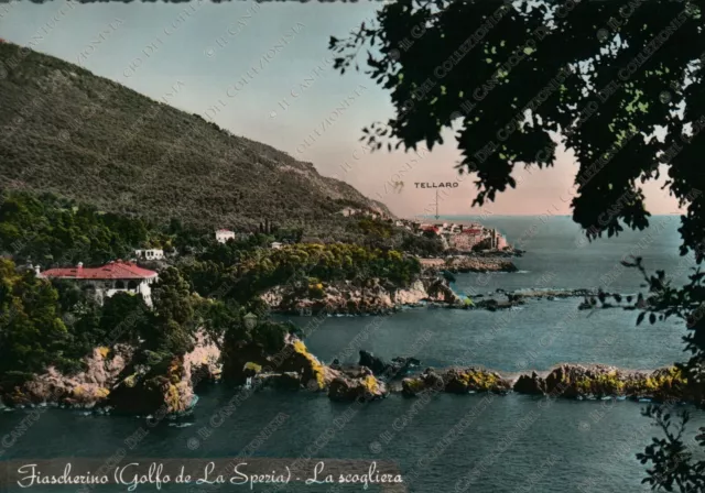 1952 FIASCHERINO Golfo scogliera panorama Tellaro La Spezia Cartolina