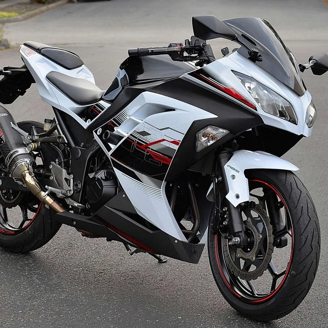 Premium Race Bodywork for Ninja 300 (2013-2017) - Primer Gray Finish