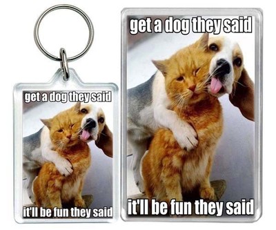 Porte Cles Humour Chat M Epuise Eur 3 90 Picclick Fr