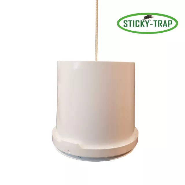Sticky Trap Cubo Blanco Como Caso de Freno - Insecto Frenos Trampa Stall