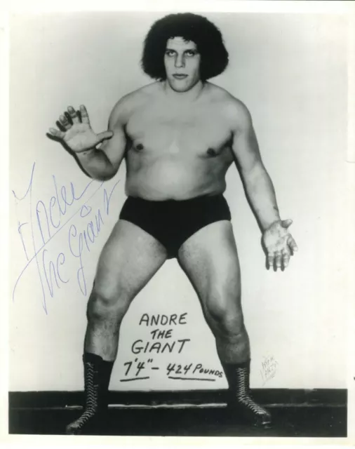 Andre The Giant Signed WWWF STUDIO SHOT 8X10 RP Photo WWE HOF