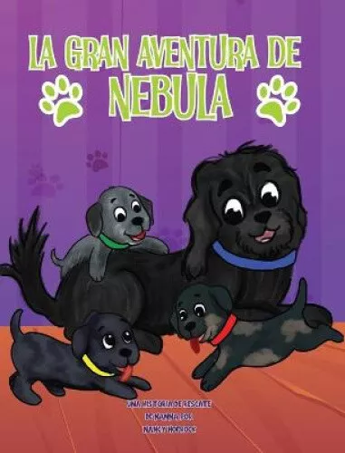 La Gran Aventura de Nebula [Spanish] by Hofrock, Nancy