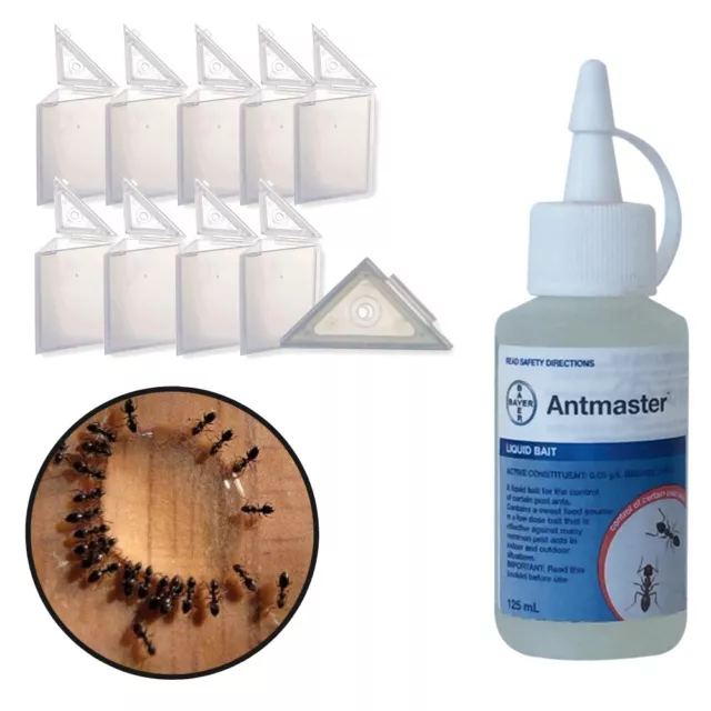 DIY BLACK HOUSE ANT CONTROL KIT - BASIC - Antmaster Bait Killer & 10 x Stations