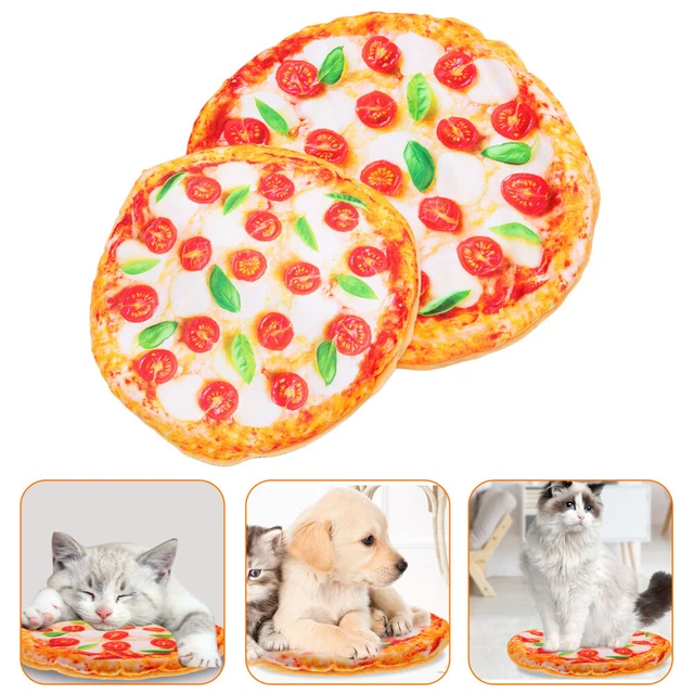 2 Pcs Tapis De Lit Pour Chat Tapis De Couchage Pour Chien Jouet Chiot Hiver