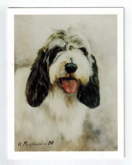 New Petite Basset Griffon Vendeen Head Study 12 Note Cards By Ruth Maystead