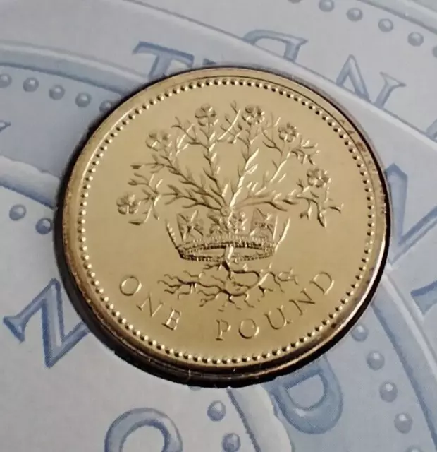 1991 BUNC  £1 Northern Ireland NI Flax One Pound Coin Uncirculated