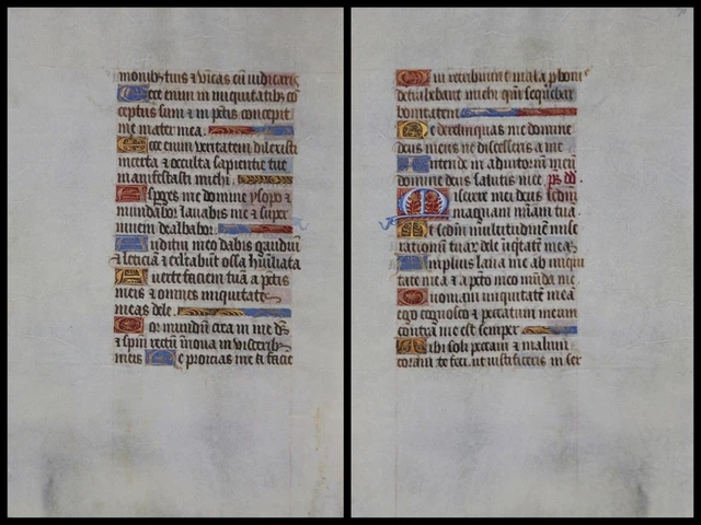 Illuminierte Grafia Su Pergamena Foglia Di Uno Miniatura Um 1500 (051)