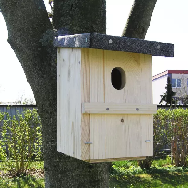 Caja Nido "Colirrojo Real" 48/32MM Bruthöhle Sitio de Nido Madera de Abeto