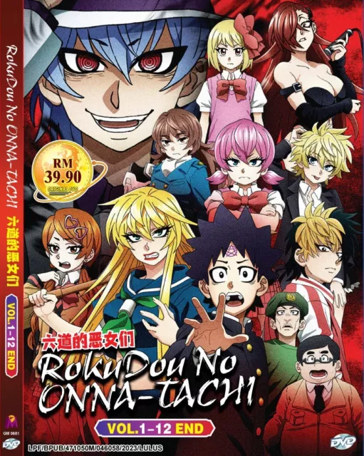 DVD Anime Kinsou No Vermeil Gakeppuchi Series (1-12 End) English