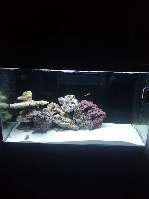 complete marine aquarium set up