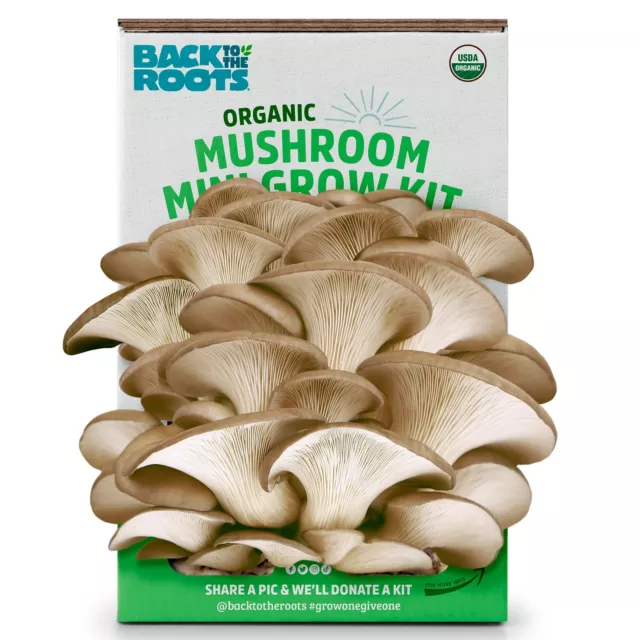 https://www.picclickimg.com/bhkAAOSwnh9lggAw/Organic-Mini-Mushroom-Grow-Kit-Harvest-Gourmet-Oyster.webp