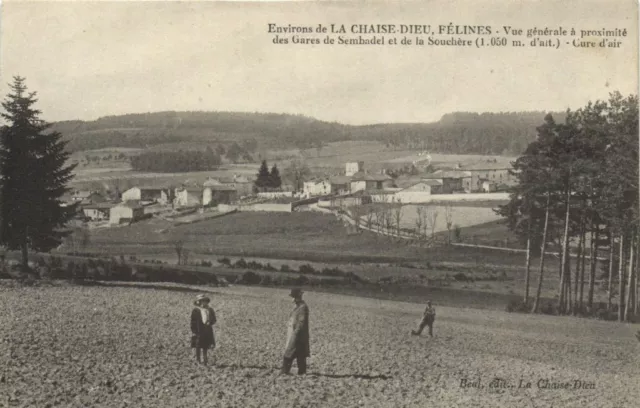 CPA Env. de La CHAISE-DIEU Pelines - Vue générale (170240)