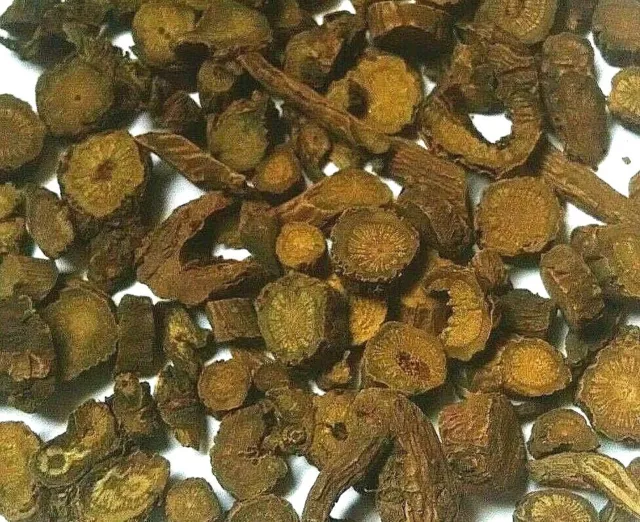 Raíz Skullcap - Scutellaria baicalensis - Hierba Seca TCM Scute ELIGE 0,5 - 4 oz