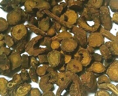Skullcap Root - Scutellaria baicalensis - Dried Herb TCM Scute CHOOSE 0.5 - 4 oz