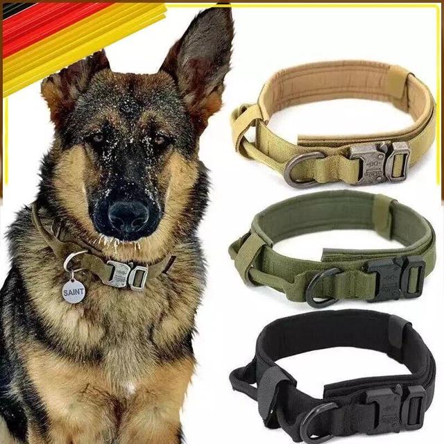 Perros necesitan táctico perros collar accesorios mascotas militar perros