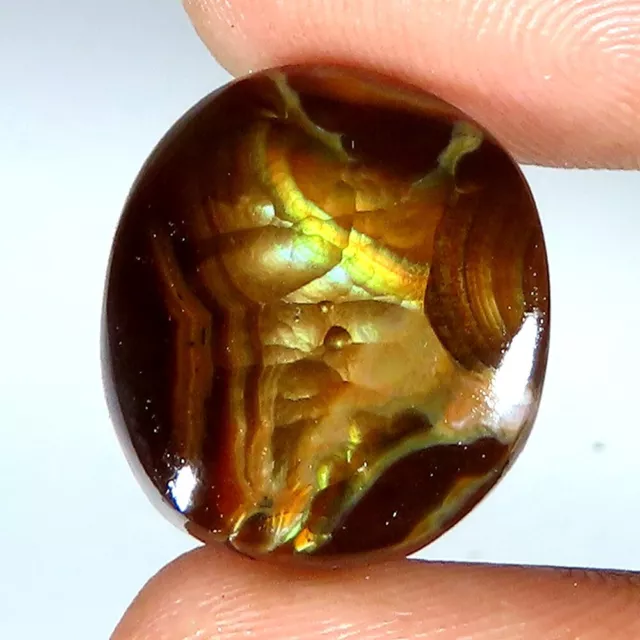 Mexican Fire Agate Fancy Shape Cabochon Loose Gemstone (14x16x05 mm) 12.30 Cts