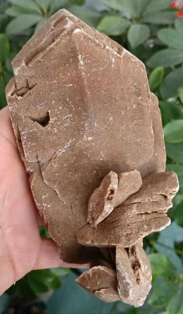 580g TOP!!!! Natural Desert Rose Stone Crystal mutualistic mineral samples