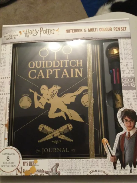Harry Potter stylo multi-couleurs Snitch (carton de 8)