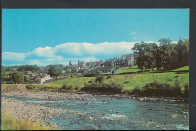Scotland Postcard - Selkirk From The River Ettrick   RS6940