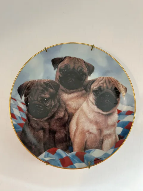 Pug Collector Plate Limited Edition by Simon Mendez