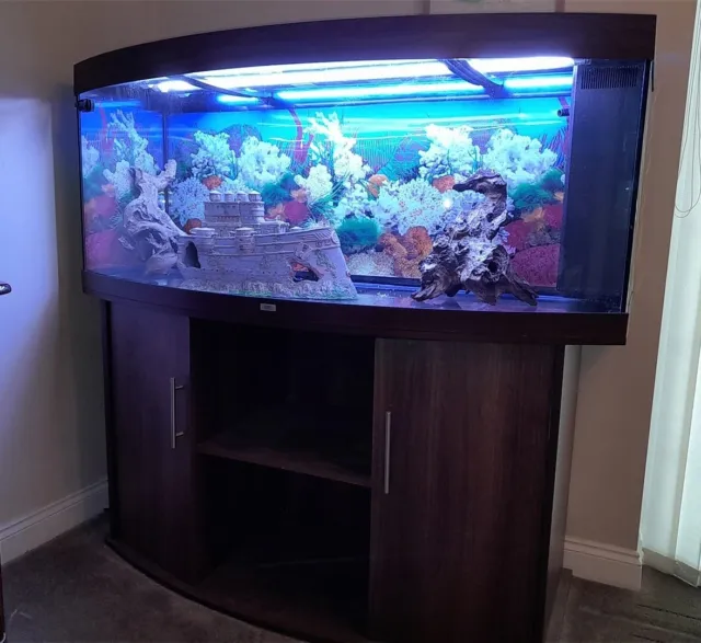 Juwel Vision 450 fish tank