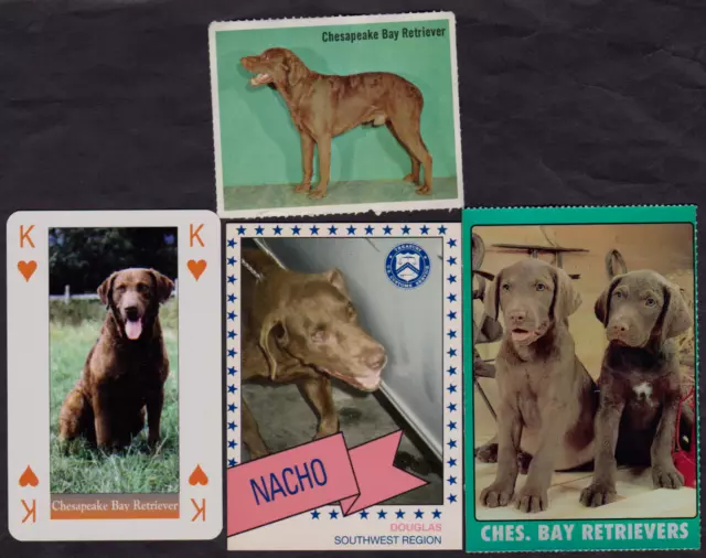 4 Different Vintage CHESAPEAKE BAY RETRIEVER Tea/Dog Food/Games Dog Cards Lot
