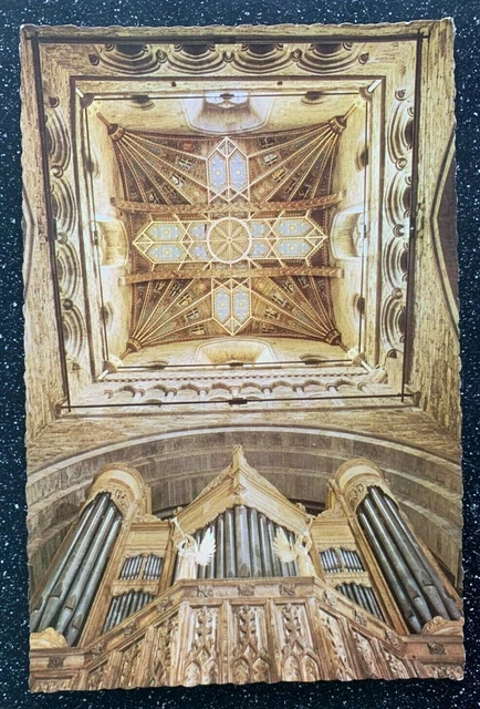 Vintage Postcard Real Photo - St David's Cathedral - Colour - Unposted