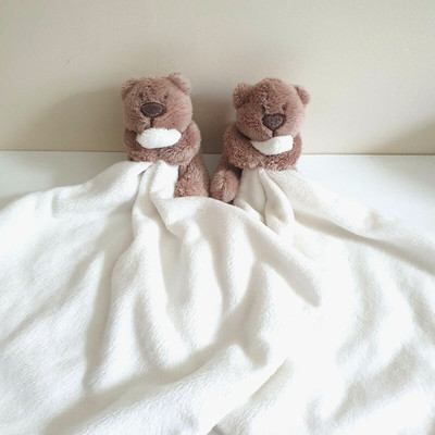 PACCHETTO DI 2 peluche Asda George 