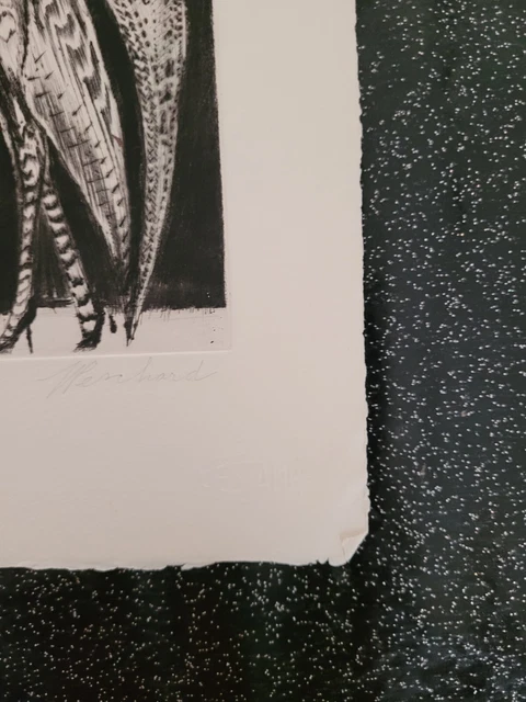 Lithographie signée et numérotée signature à identifier 85/100 "Mlle C" 12