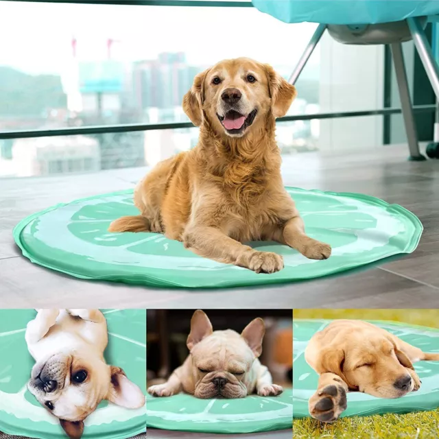 Pet Dog Cooling Mats Self Cool Gel Mat For Dogs Cats Heat Relief Pad 7 Sizes UK
