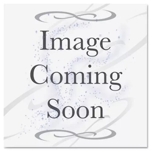 Medium Floor-Sweeping Brush, Black Tampico Fill, 24 Wide