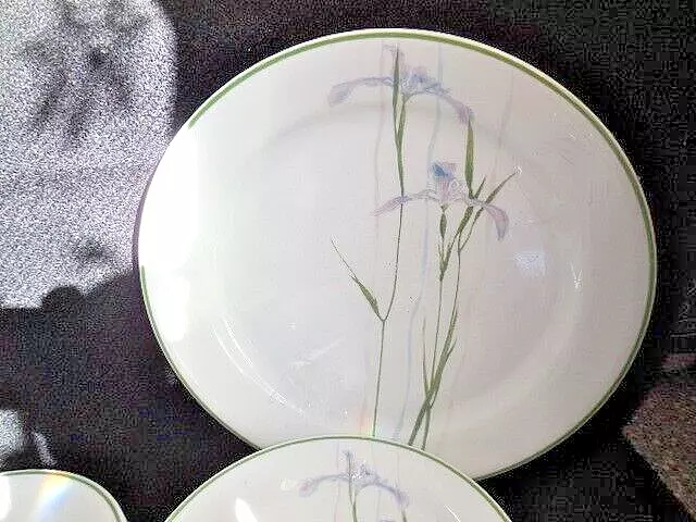 Set of 5 Corelle by Corning SHADOW IRIS Dinner Plates - 10-1/4"