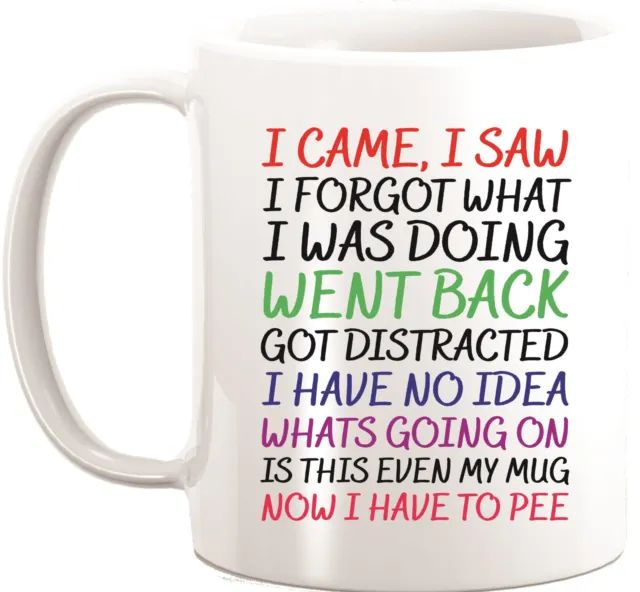 I Came I Saw I Forgot Funny Novelty Coffee Mug