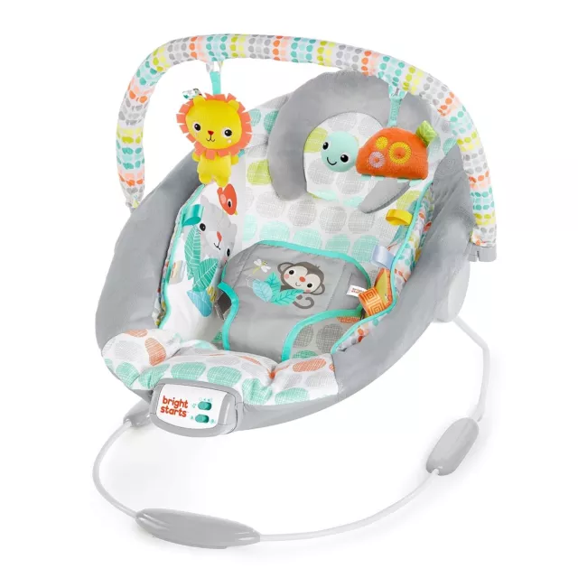 Comfy Baby Bouncer Soothing Vibrations Infant Seat - Taggies, Music, Removable