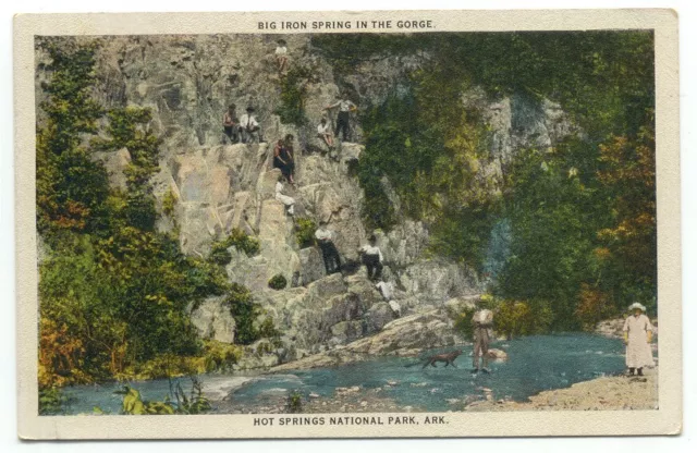 Hot Springs National Park AR Big Iron Spring In The gorge Arkansas Postcard