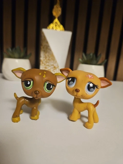 Littlest Pet Shop LPS – Chat Européen 468/792 – Hasbro – Figurine De Collection