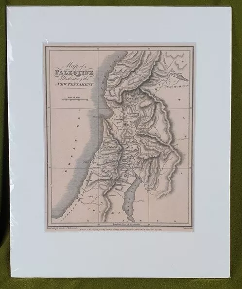 P1117 Early 19th Century Engraved Map Of Palestine Published For S.P.C.K. 1815