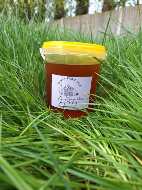 1 kg FOREST LINDEN/LIME ORGANIC PURE HONEY-UNPROCESSED-HIGH QUALITY-100% RAW