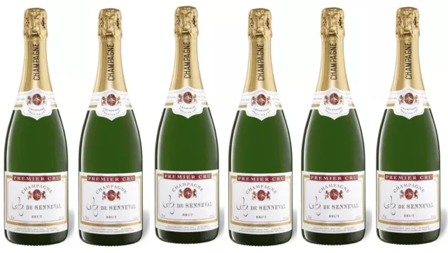 6 Flaschen Comte de Senneval Premier Cru brut  Champagner 2011  Frankreich 4,5L.