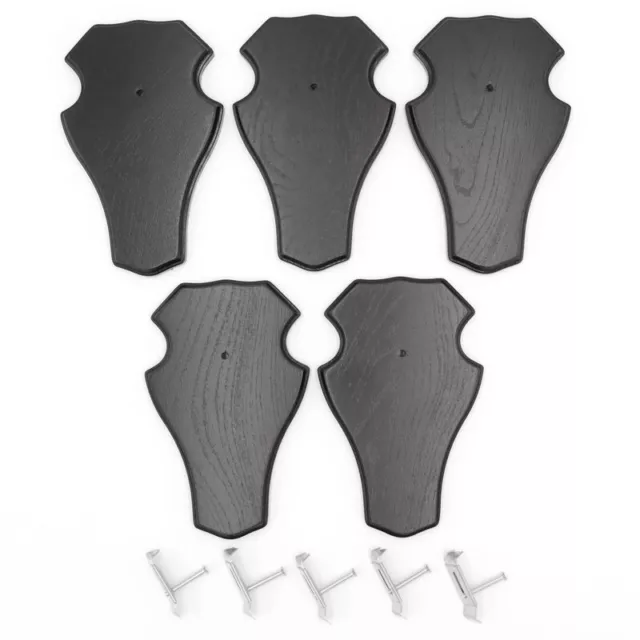 5 Pieza Ciervo Escudo de Trofeo En Roble Oscuro Af 21CM X 13CM Con 5 X Pinzas