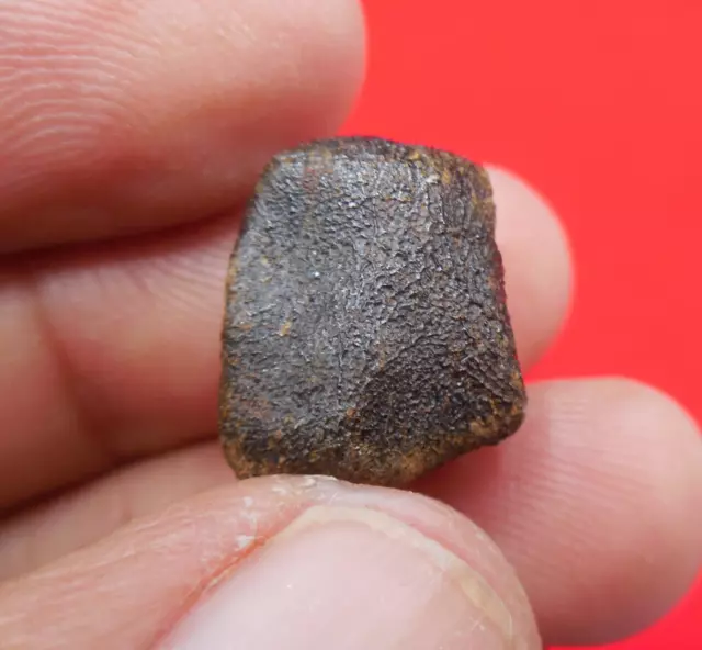 2.91 gram - CAMEL DONGA (Eucrite-mmict) METEORITE - Fusion Crusted specimen 3