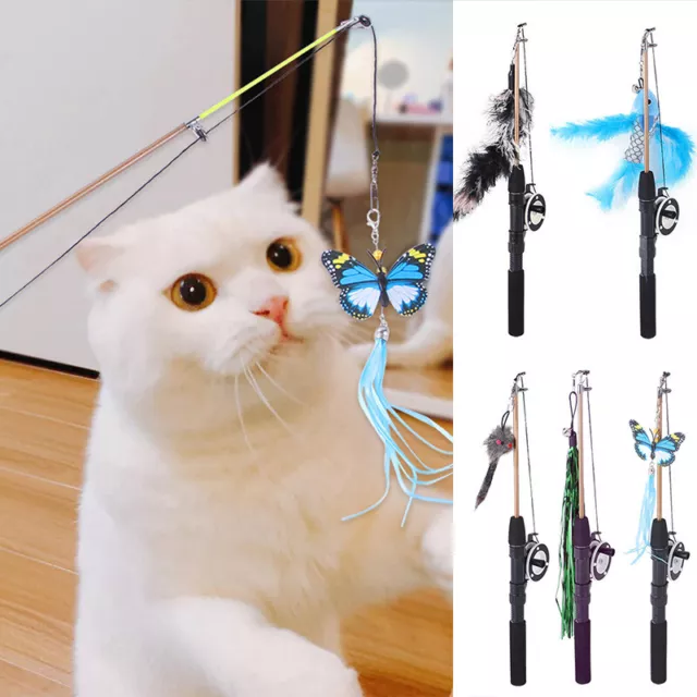 Plumes Télescopiques En Forme De Poisson Bâton De Chat Amusant Jouet De R